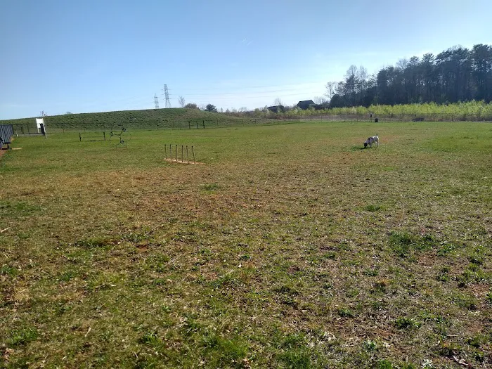 King Dog Park 9