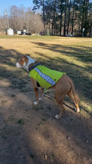 Precious 9 Memorial Dog Park 3