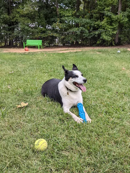 Precious 9 Memorial Dog Park 5