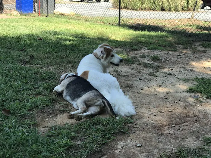 Precious 9 Memorial Dog Park 7