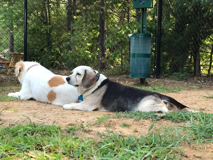 Precious 9 Memorial Dog Park 2