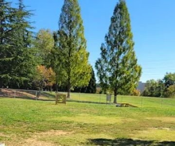 Pitner Dog Park