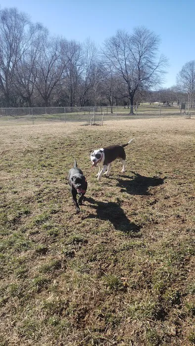 Pitner Dog Park 3
