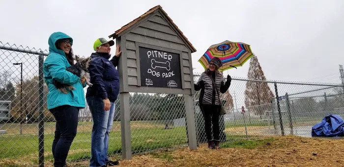 Pitner Dog Park 4