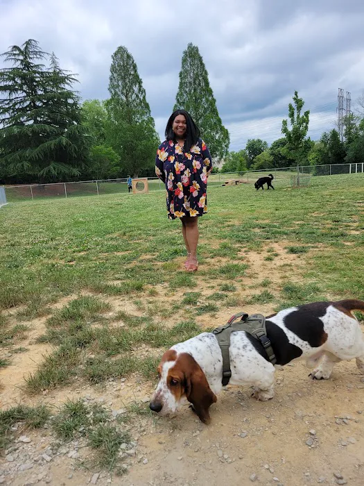 Pitner Dog Park 10