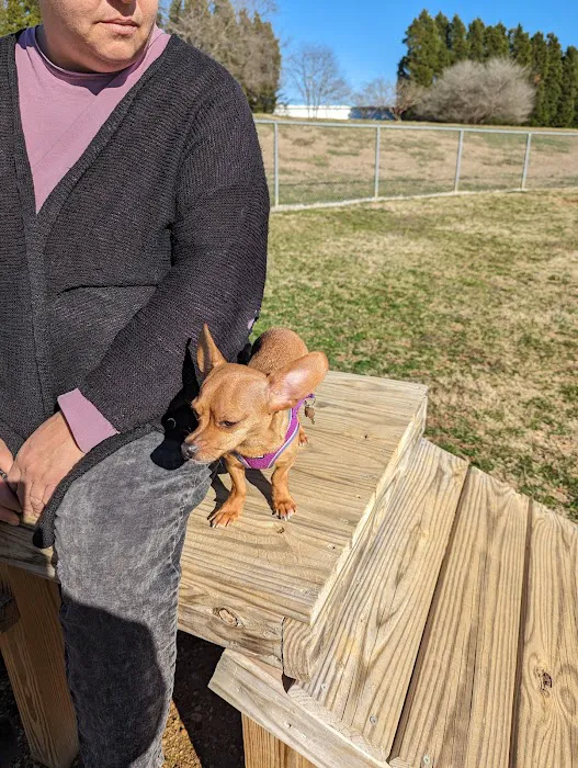 Pitner Dog Park 9