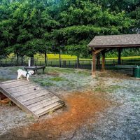 Legacy Dog Park ico