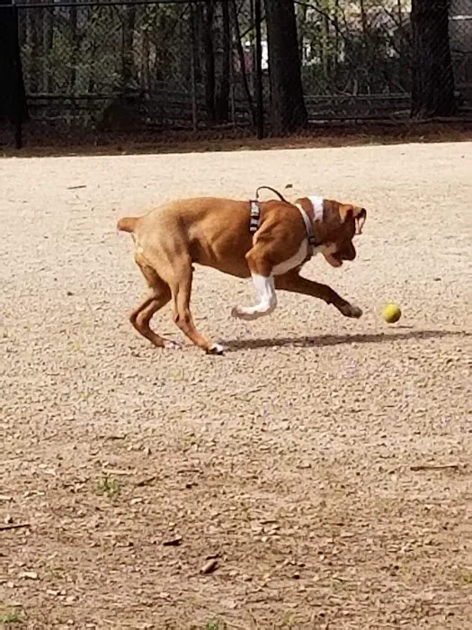 K9 Park At Ramsey Creek 8