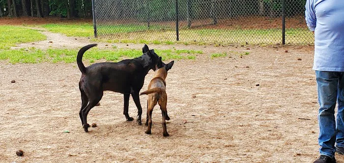 Swaney Pointe K-9 Park 1