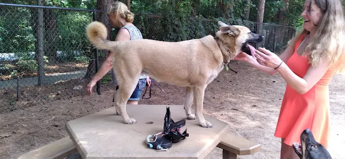Swaney Pointe K-9 Park 4