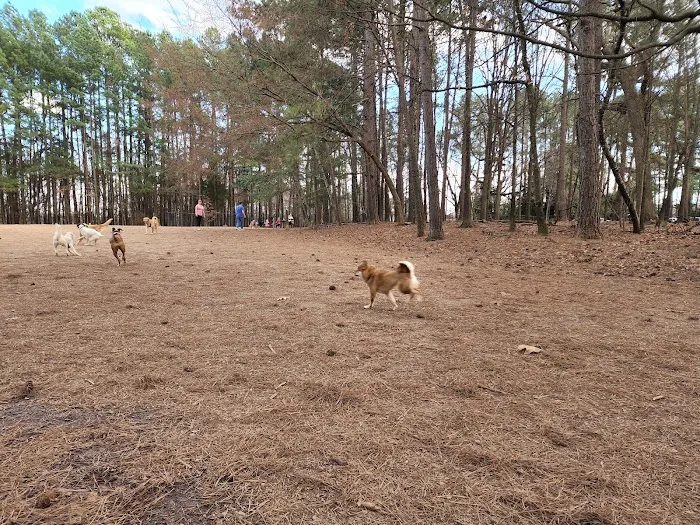 Swaney Pointe K-9 Park 9