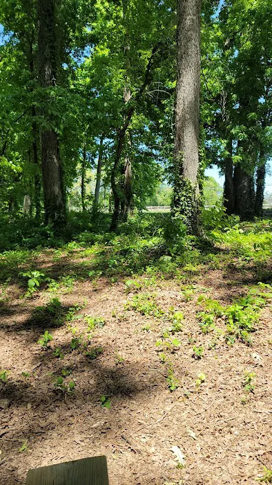 Dog Park at Clarks Creek Community Park 2