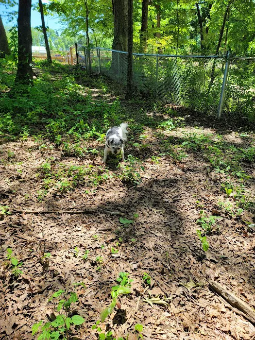 Dog Park at Clarks Creek Community Park 1