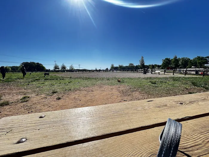 Dog Park at Clarks Creek Community Park 8