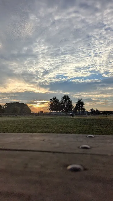 Dog Park at Clarks Creek Community Park 5