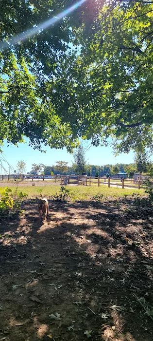 Dog Park at Clarks Creek Community Park 10