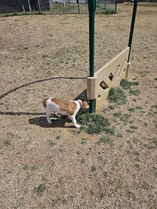 Weddington Road Bark Park 3
