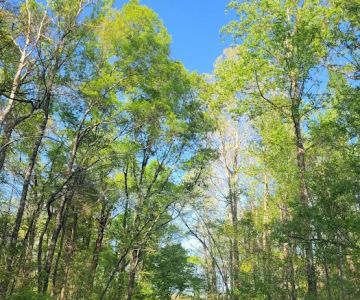 Weddington Road Bark Park