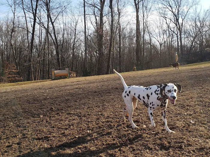 Weddington Road Bark Park 9