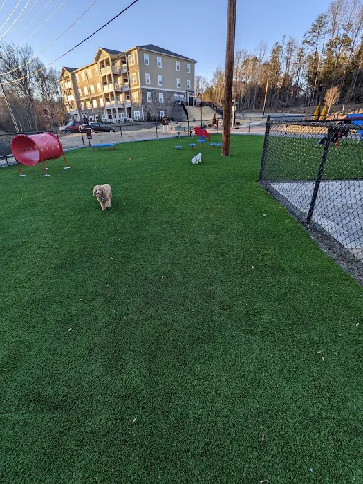 Latitude Mallard Creek Dog park 6