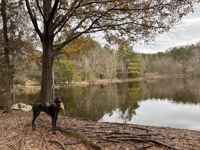 Whitewater Center Off Leash 1
