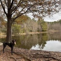 Whitewater Center Off Leash ico