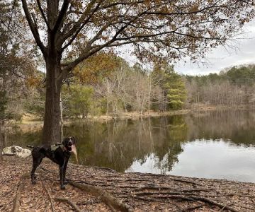 Whitewater Center Off Leash