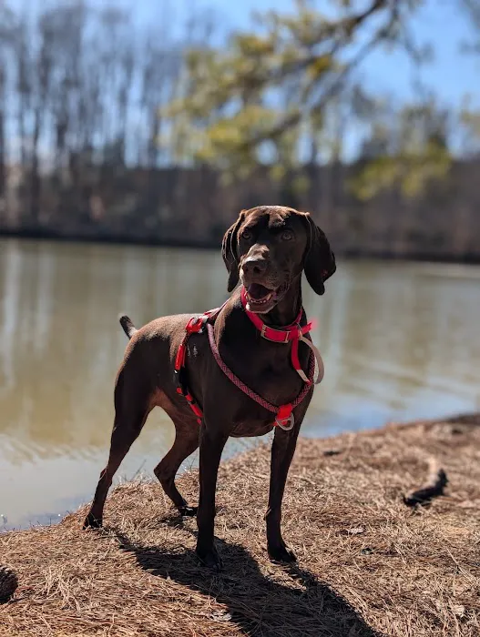 Whitewater Center Off Leash 9