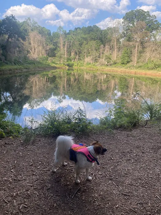 Whitewater Center Off Leash 6