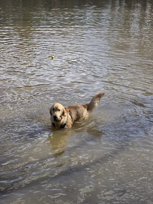 Whitewater Center Off Leash 4