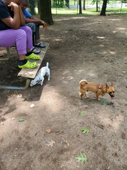 Frazier Place dog park 7