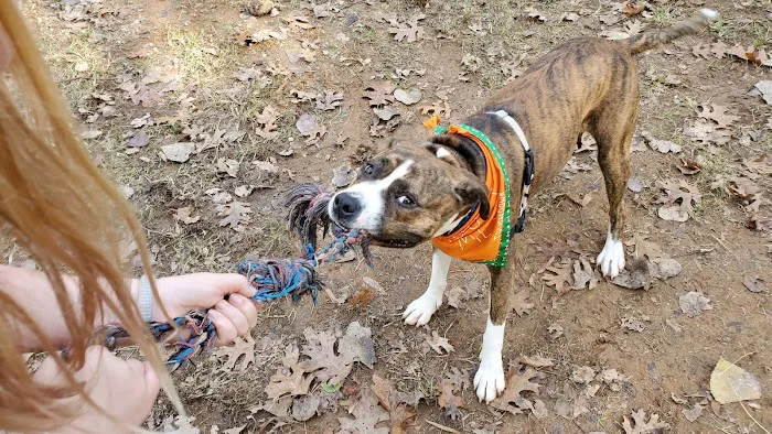 Frazier Place dog park 6