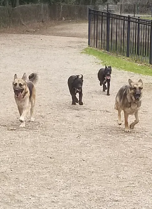 Frazier Place dog park 4