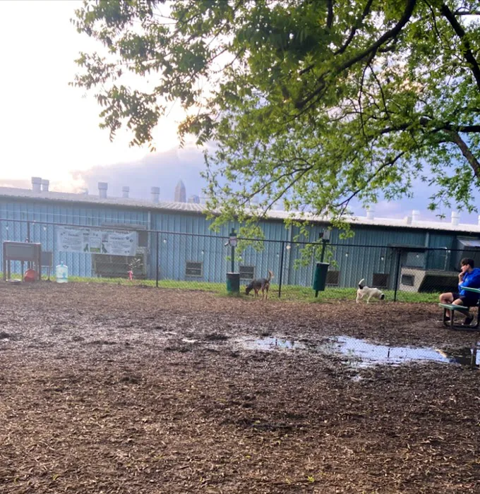 Plaza Midwood Neighborhood Association Dog Park 2