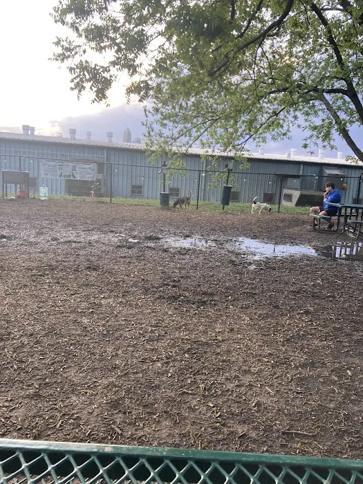 Plaza Midwood Neighborhood Association Dog Park 1