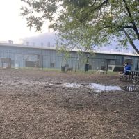Plaza Midwood Neighborhood Association Dog Park ico
