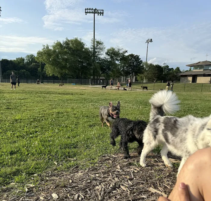 Renaissance Dog Park 10
