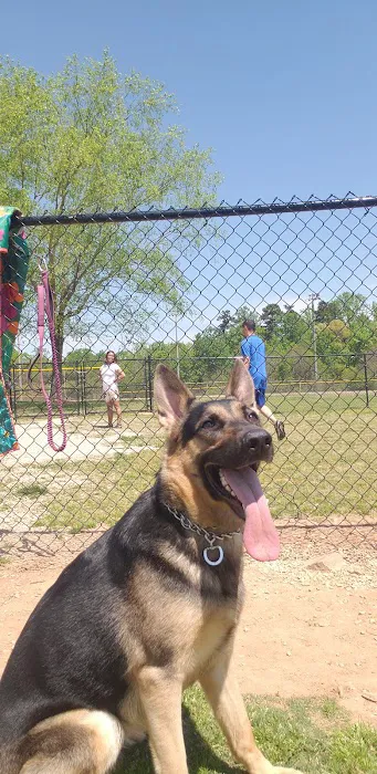 Renaissance Dog Park 1