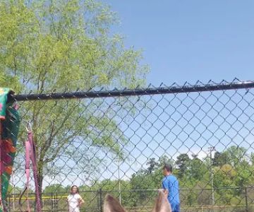 Renaissance Dog Park