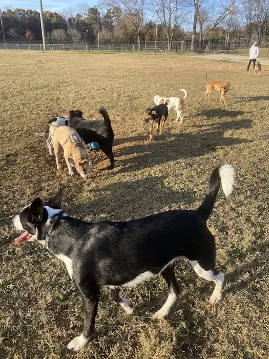 Renaissance Dog Park 2