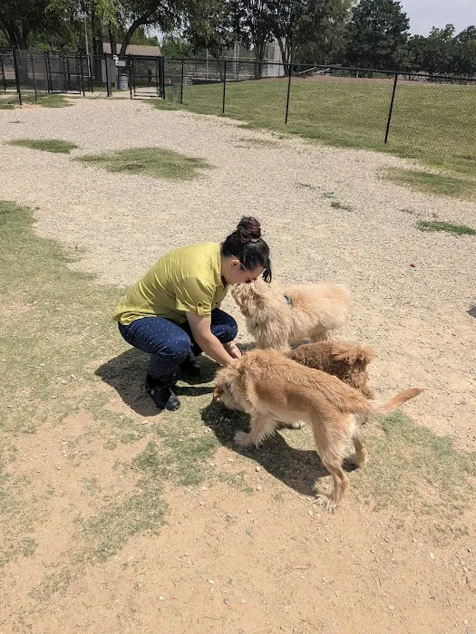 Renaissance Dog Park 4