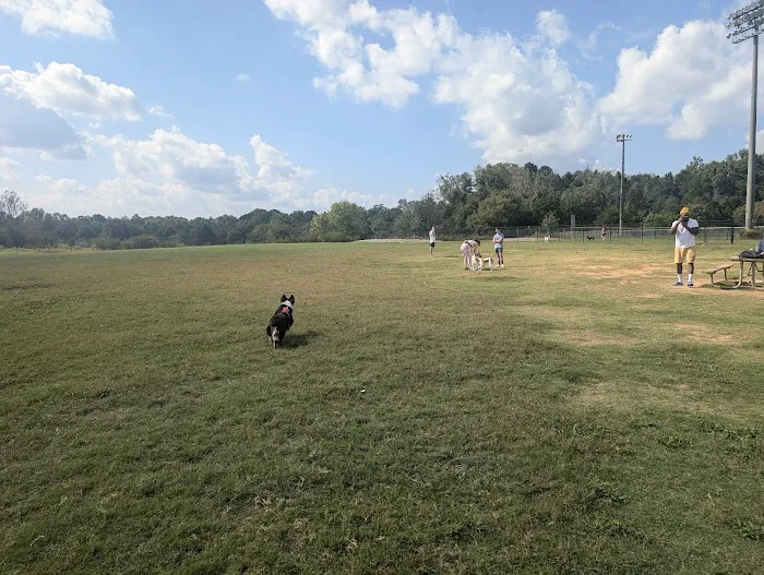 Renaissance Dog Park 6