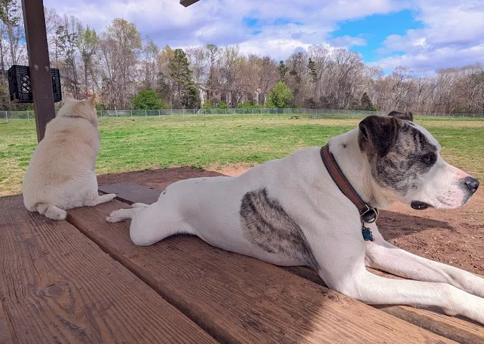 McAlpine Creek Dog Park 3
