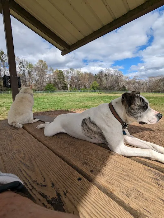 McAlpine Creek Dog Park 7