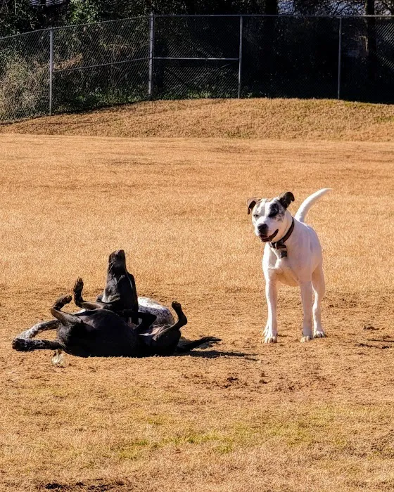 McAlpine Creek Dog Park 4