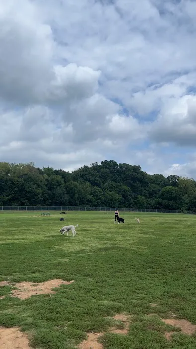 McAlpine Creek Dog Park 8