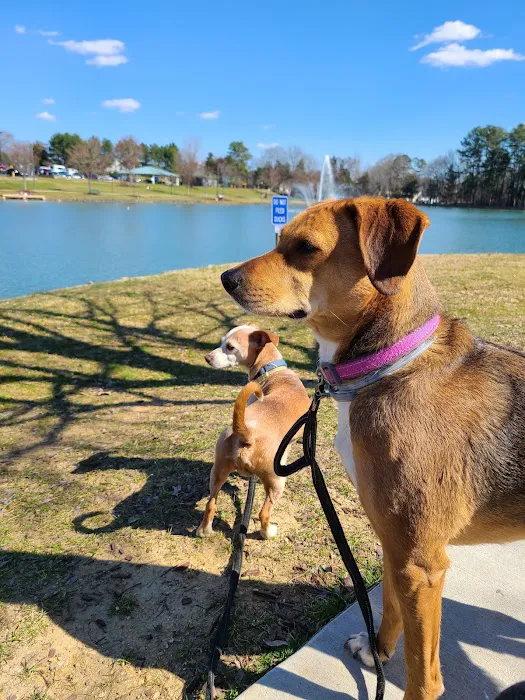 Canine Commons Dog Park 2