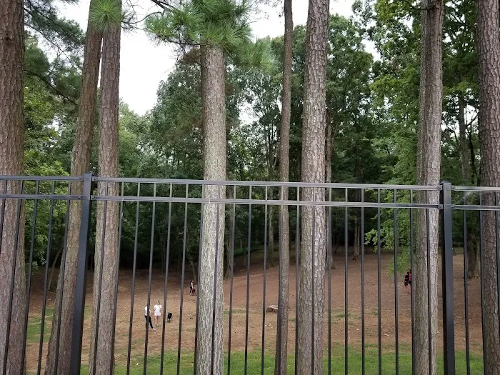 Canine Commons Dog Park 3