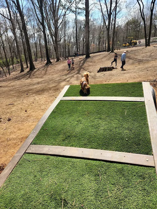 Canine Commons Dog Park 9
