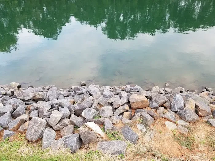 Canine Commons Dog Park 7